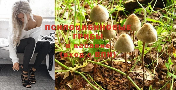 прущая мука Краснослободск